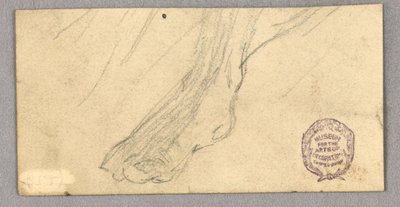 Um pé direito de Francis Augustus Lathrop
