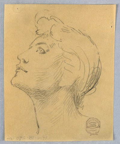 Cabeça de uma mulher de Francis Augustus Lathrop