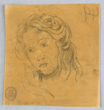 Esboço da cabeça da mulher de Francis Augustus Lathrop