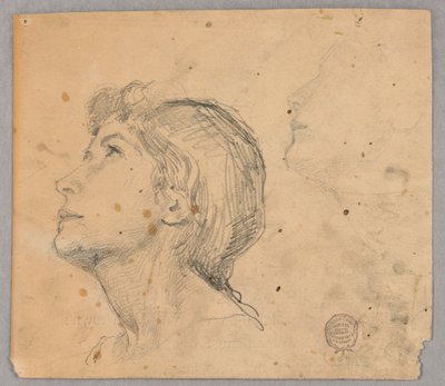 Esboço da cabeça de uma mulher de Francis Augustus Lathrop