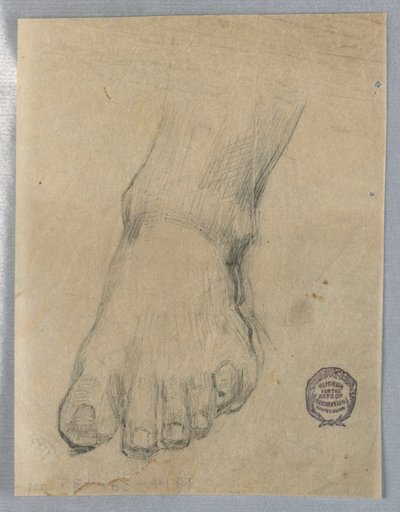 Estudo para um pé de Francis Augustus Lathrop