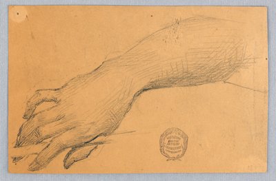 Estudo da mão e do pulso de Francis Augustus Lathrop