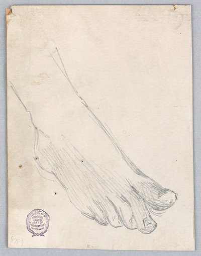 Estudo do pé direito de Francis Augustus Lathrop