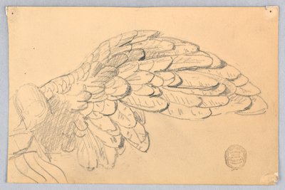 Estudo de uma asa de Francis Augustus Lathrop