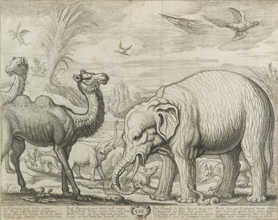 África, 1672 de Francis Barlow
