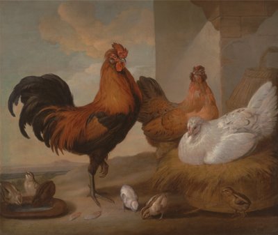 Galos, galinhas e pintos domésticos de Francis Barlow