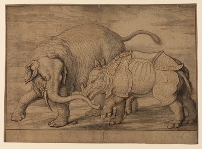 Luta entre um elefante e rinoceronte de Francis Barlow