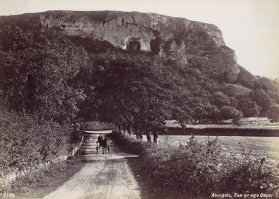 Abergele, Caverna Tan-yr-ogo, década de 1870. de Francis Bedford