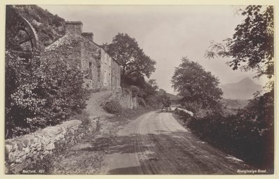 Floresta. de Francis Bedford