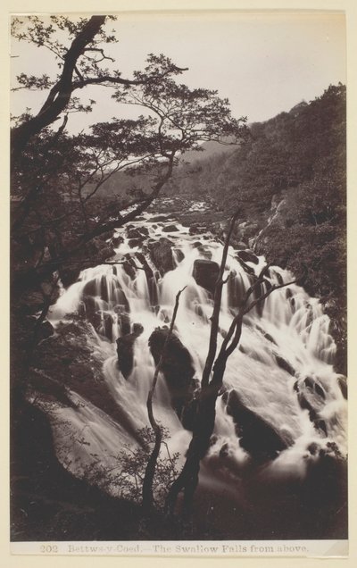 Betws-y Coed, The Swallow Falls from Above de Francis Bedford