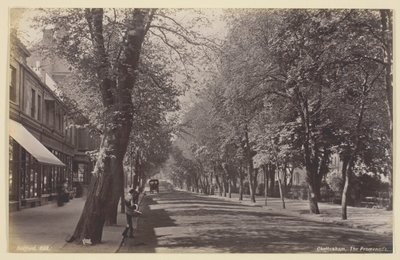 Cheltenham, a Promenade de Francis Bedford