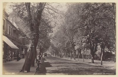 Cheltenham, o Passeio, 186094. de Francis Bedford