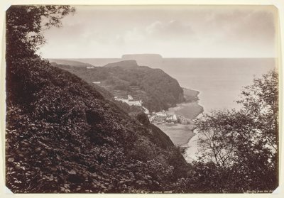 Floresta. de Francis Bedford