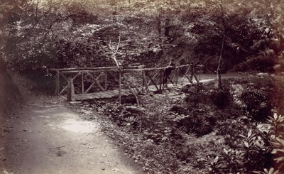 Baía de Colwyn. Ponte Rústica na Madeira, década de 1870. de Francis Bedford