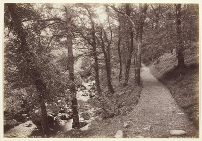 Dolgelley, vista em Torrent Walk de Francis Bedford