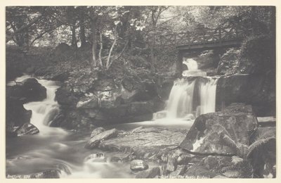 Glen Lyn, a ponte rústica, 186094. de Francis Bedford