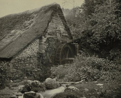 Holy Street Mill, final da década de 1860. de Francis Bedford