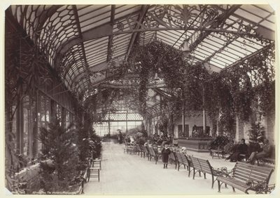 Ilfracombe, a avenida Victoria de Francis Bedford