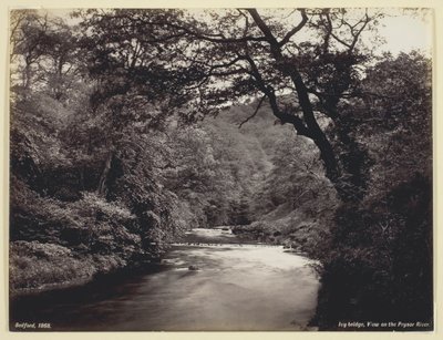 Ivy Bridge, vista sobre o rio Prysor, 186094. de Francis Bedford