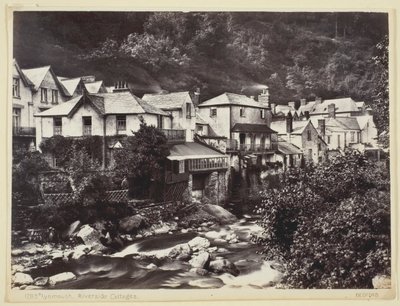 Floresta. de Francis Bedford