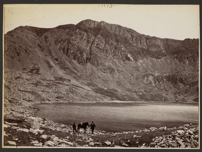 [Homens e cavalos no lago]. de Francis Bedford