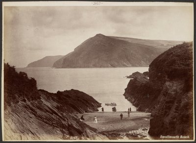 Praia de Smallmouth de Francis Bedford