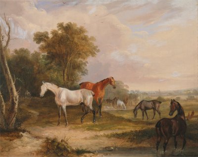 Cavalos a pastar: um garanhão cinzento a pastar com éguas num prado de Francis Calcraft Turner