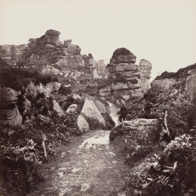 Rochas de Brimham, Yorkshire de Francis Frith