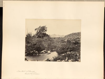Fonte de Jericó, curada por Eliseu de Francis Frith