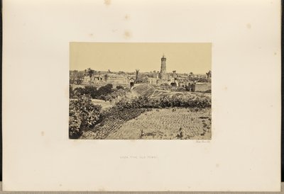 Gaza (A Cidade Velha) de Francis Frith