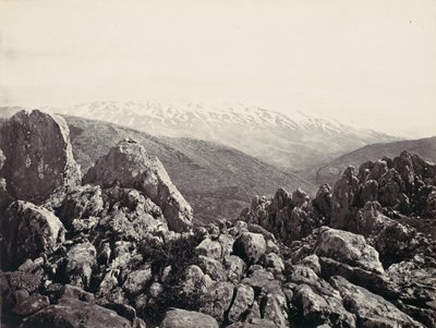 Floresta. de Francis Frith