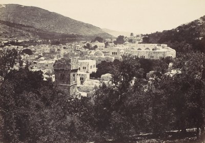 Floresta. de Francis Frith