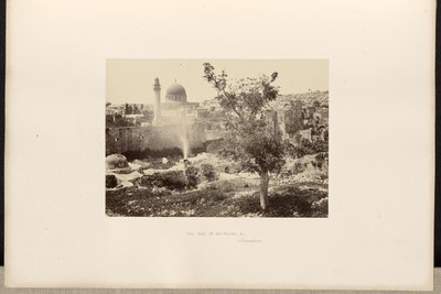 A piscina de Betesda, etc., Jerusalém de Francis Frith