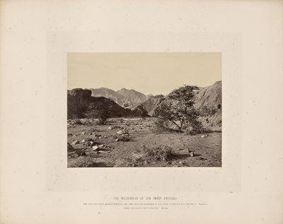 O deserto do pecado (Wady Shellal) de Francis Frith