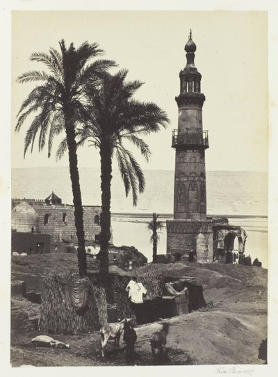 Vista em Girgeh, Alto Egito de Francis Frith