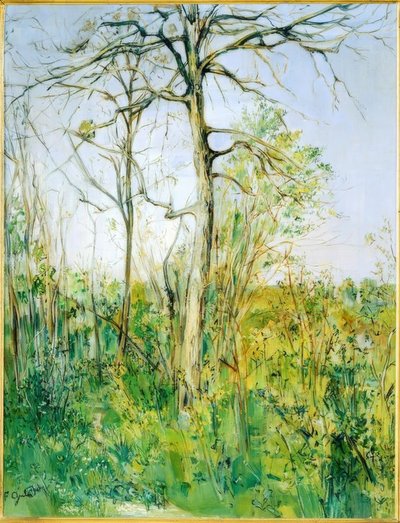 Paisagem - Paisagem de Francis Gruber