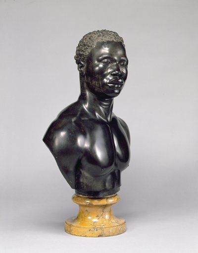 Busto de um homem, c.1758 (calcário preto e mármore amarelo) (ver também 281574) de Francis Harwood