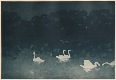 Os Cisnes de Francis Jourdain