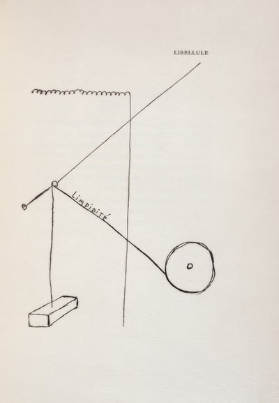 Libélula de Francis Picabia