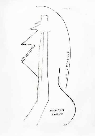 Poemes et Dessins de la Fille nee sans Mere, n.º 23, publicado por Imprimeries Reunies, Lausanne de Francis Picabia