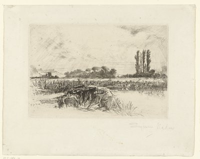planície de inundação Um prado de água de Francis Seymour Haden (Sir) (signed by artist)