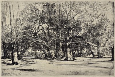 Uma estrada por estrada em Tipperary de Francis Seymour Haden