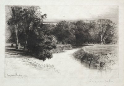 Um pôr do sol na Irlanda de Francis Seymour Haden