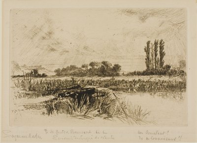 Um Prado de Água de Francis Seymour Haden