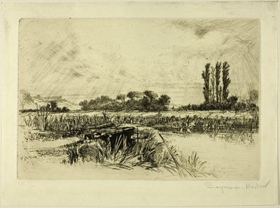 Um Prado de Água de Francis Seymour Haden