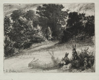 Pentear Inferior de Francis Seymour Haden