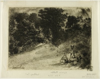 Pentear Inferior de Francis Seymour Haden