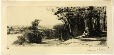 De manhã cedo, Parque Richmond de Francis Seymour Haden
