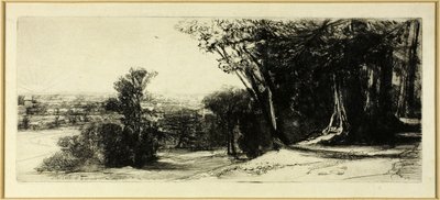 De manhã cedo, Parque Richmond de Francis Seymour Haden