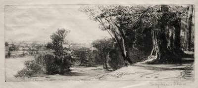 De manhã cedo, Richmond Park. de Francis Seymour Haden